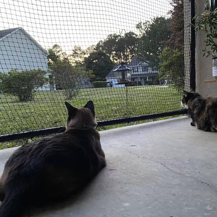 Cat Netting for Catio, Outdoor Cat Enclosure Cat Net - Meow Safe