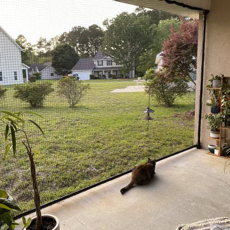 Cat Netting for Catio, Outdoor Cat Enclosure Cat Net - Meow Safe