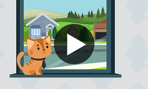 Load video: Cat Netting Instructions Video