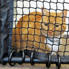 Video of the Cat Gate