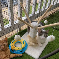 Cat Netting for Catio, Outdoor Cat Enclosure Cat Net - Meow Safe