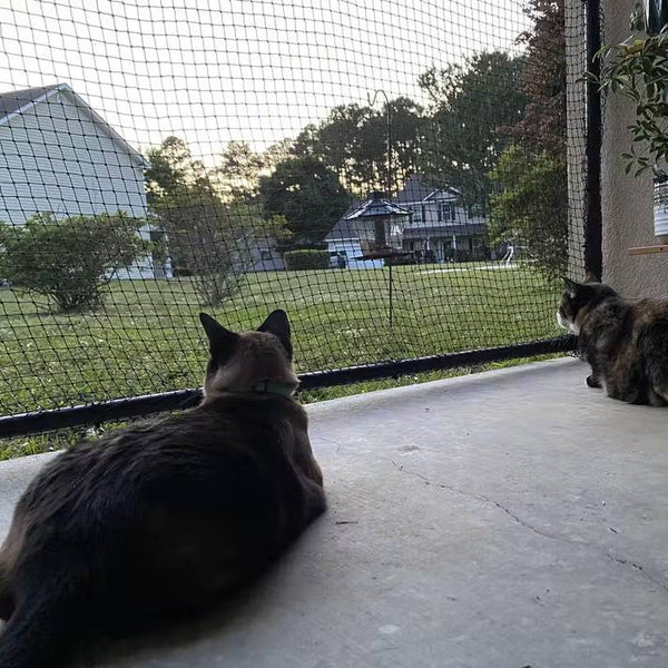 Cat netting, Catio netting, Cat mesh, Cat netting patio fence barrier ...