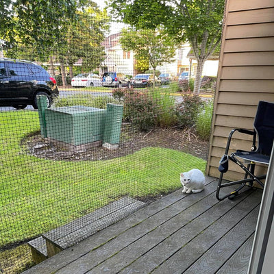 Cat Netting for Catio, Outdoor Cat Enclosure Cat Net - Meow Safe